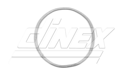 Tranzparts - Dinex EXHAUST ROPE FOR DAF