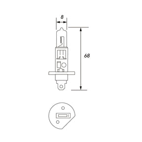 Tranzparts, Truck, Trailer, Bus Parts