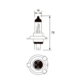 Bus Parts