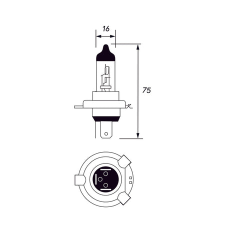 Bus Parts