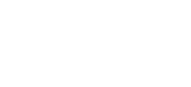 Tranzparts Logo